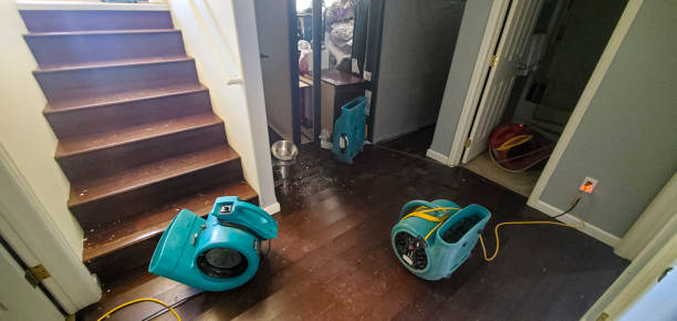 Best Water damage restoration insurance claims  in Northlake, TX