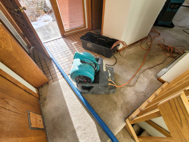 Carpet water damage restoration in Northlake, TX