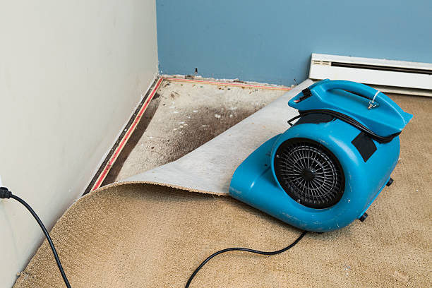 Best Water damage restoration near me  in Northlake, TX